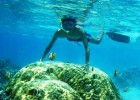 Snorkeling at Gili