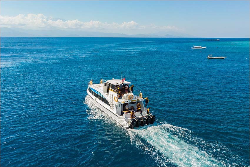 el rey junior fast cruise