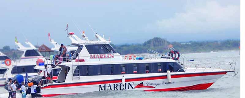 Marlin Fast Boat
