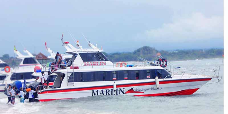 Marlin Fast Boat From Sanur to Nusa Lembongan