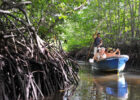 Mangrove Lembongan