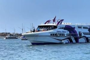 Travel swiftly between Java and Serangan Bali with Express Bahari’s direct fast ferry. Enjoy daily comfort, eco-friendly travel.