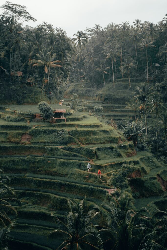 Eco-Friendly E-Gokart Adventure in Bali — Photo 6