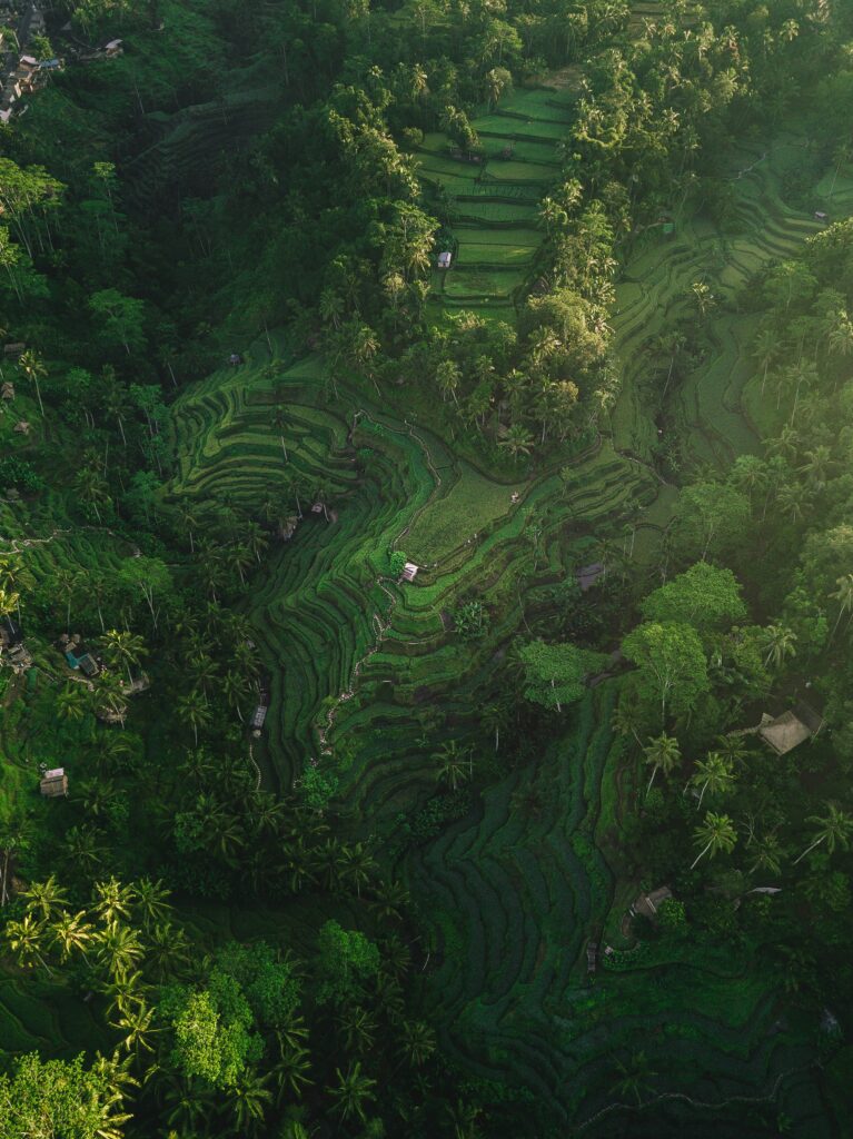 Eco-Friendly E-Gokart Adventure in Bali — Photo 3