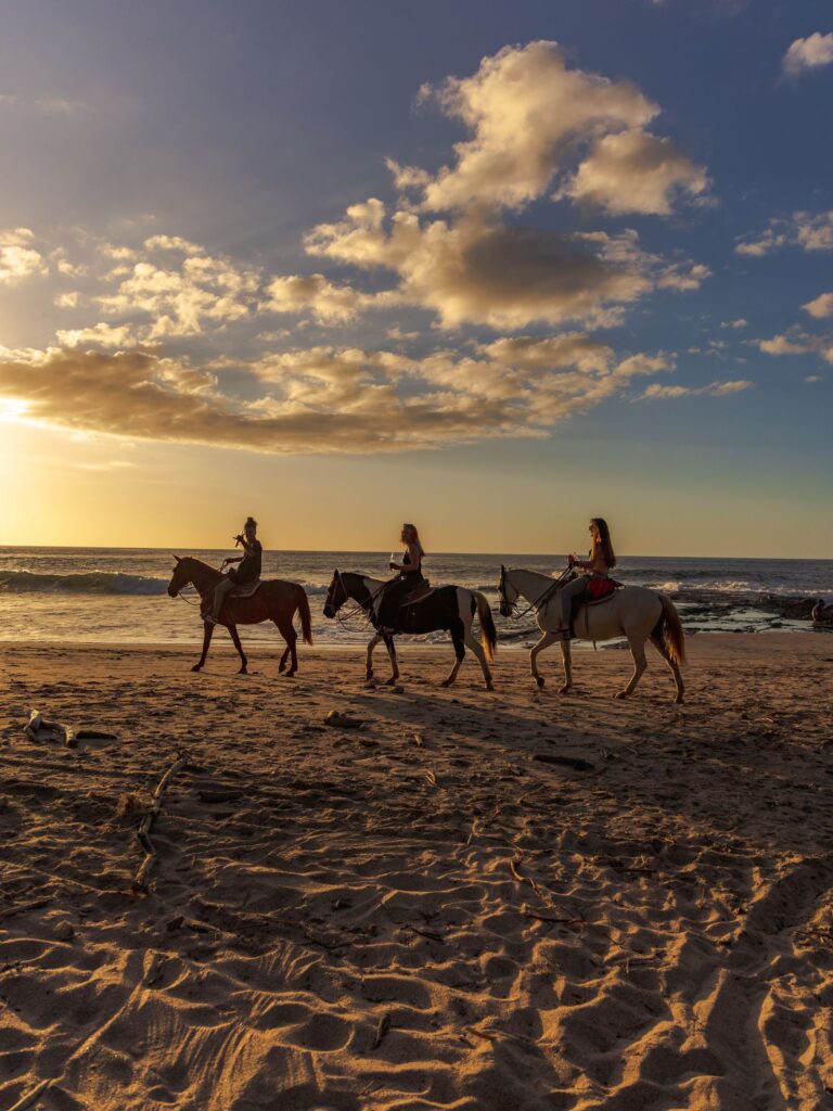 Silhouette of horseback riders on sandy beach at sunset