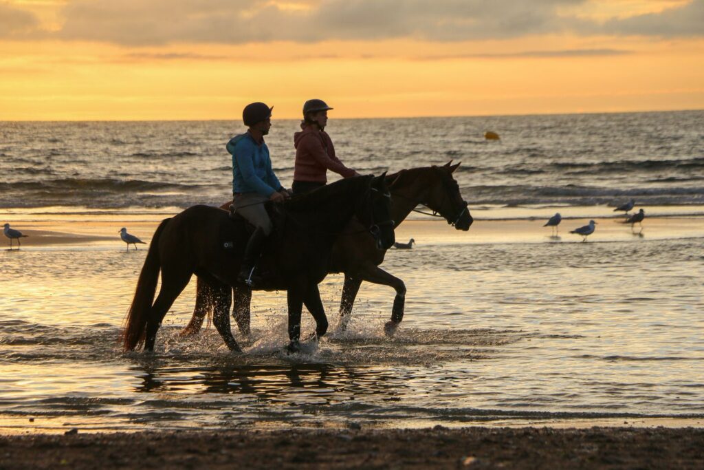 Two people riding horses on a tropical beach at sunset