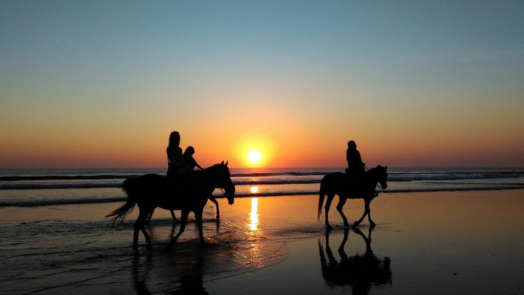 Three riders on horseback beside the sea during golden hour