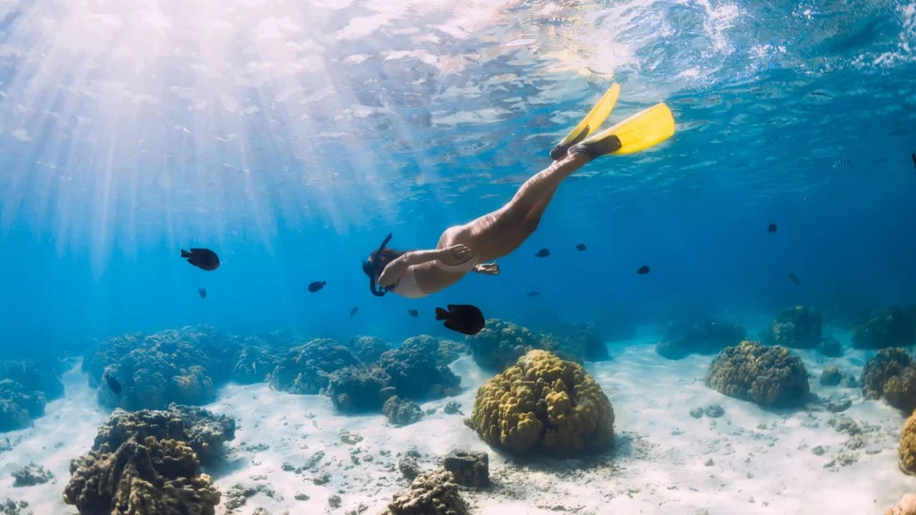 snorkeling at nusa lembongan — One Day Nusa Lembongan Snorkeling Adventure
