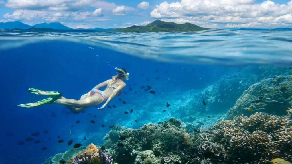 snorkeling at nusa lembongan — One Day Nusa Lembongan Snorkeling Adventure