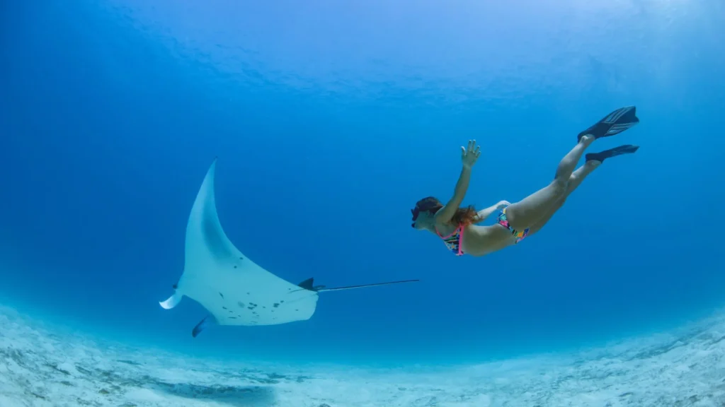 snorkeling at nusa lembongan — One Day Nusa Lembongan Snorkeling Adventure