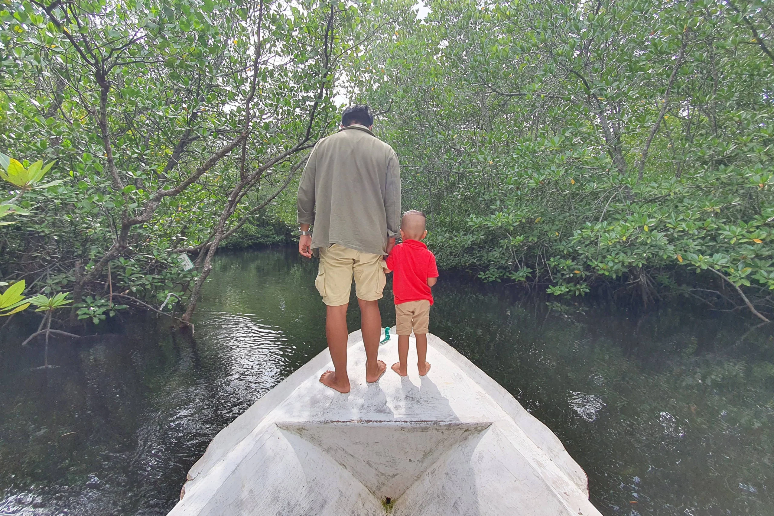 mangrove tour — One Day Nusa Lembongan Snorkeling Adventure