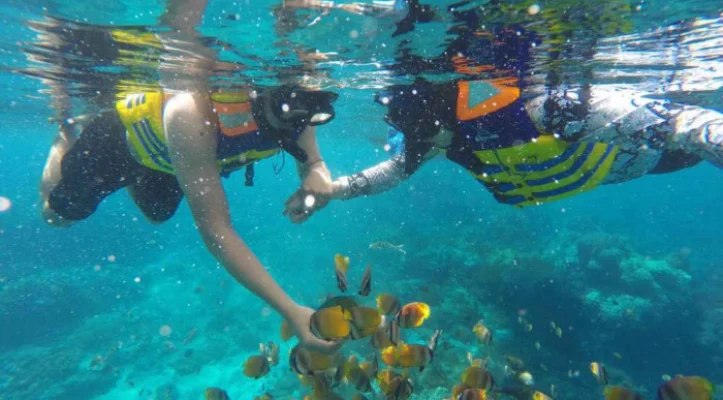 snorkeling — One Day Nusa Lembongan Snorkeling Adventure