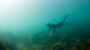 Start From Gili T : Spearfishing Expedition in Gili Trawangan