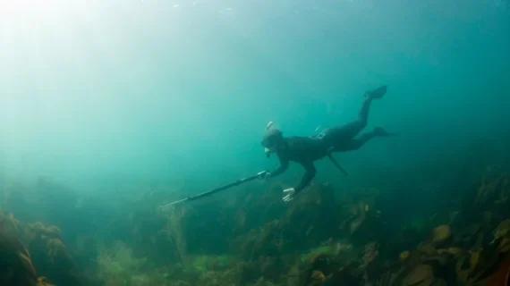 Spearfishing Expedition in Gili Trawangan — Photo 1