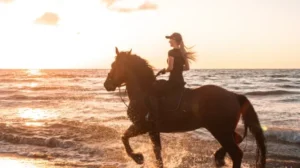 Start From Gili T : Exclusive Horseback Riding on Gili Trawangan