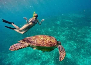 Gili Air Snorkeling Adventure 4 Spot