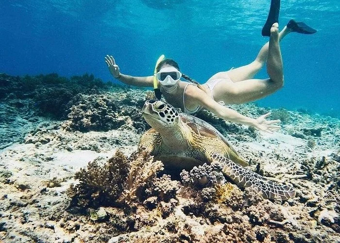Snorkeler enjoying the underwater life with a sea turtle. — Gili Air Snorkeling Adventure 4 Spot